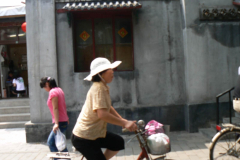 P1060541