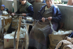 india_029