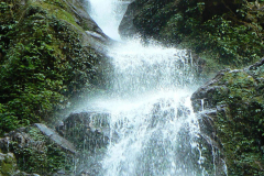 india_065