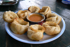 india_093