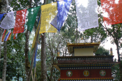 india_096
