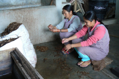 india_119