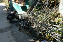 india_131d