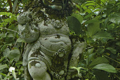 ind_185