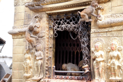 nepal-13