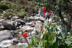 nepal-25