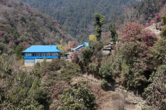 nepal-46
