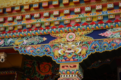 DSC04442