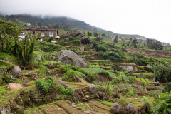 Srilanka_055