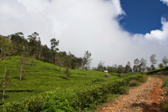Srilanka_078